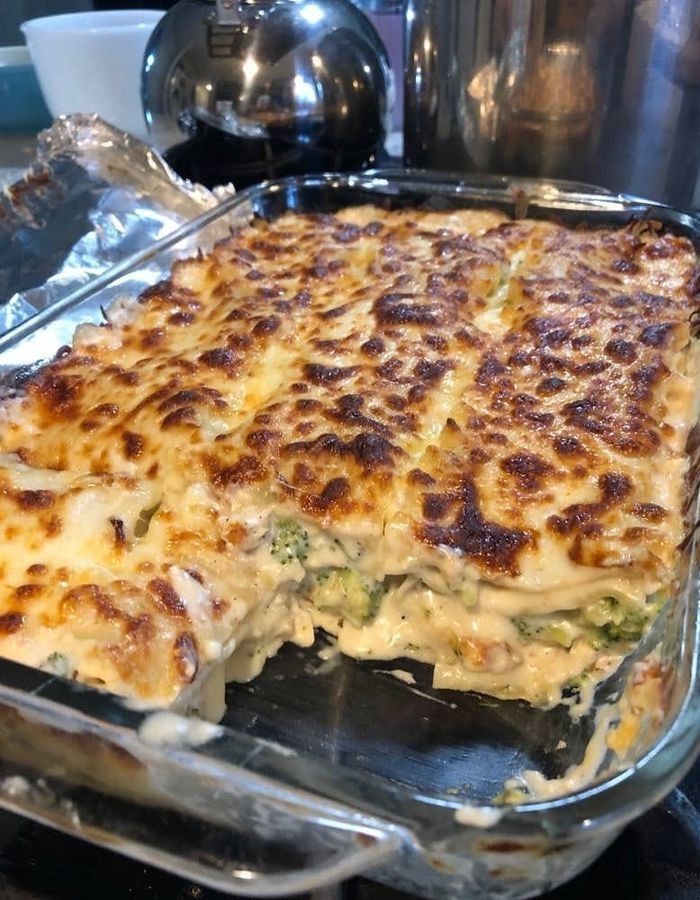 Chicken Broccoli Lasagna Recipe