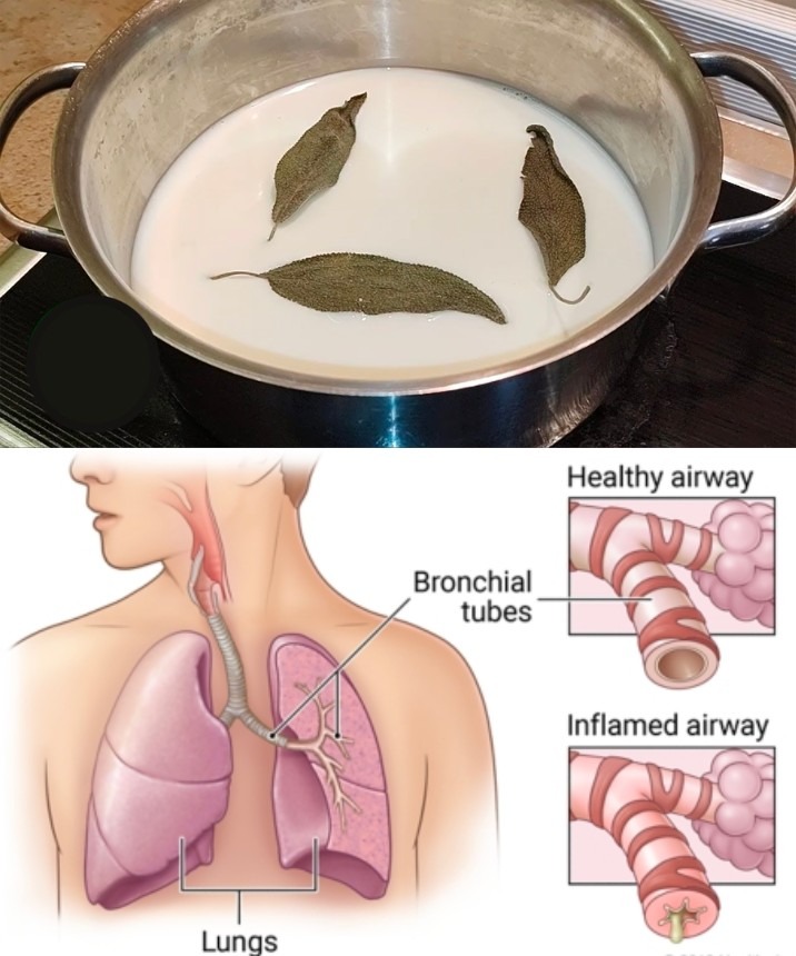 Bay Leaf, Milk, and Honey Remedy for Cough and Phlegm-Filled Lungs